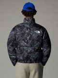 Casaco The North Face 2000