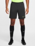 Pantalones Cortos Nike Dri-FIT Academy