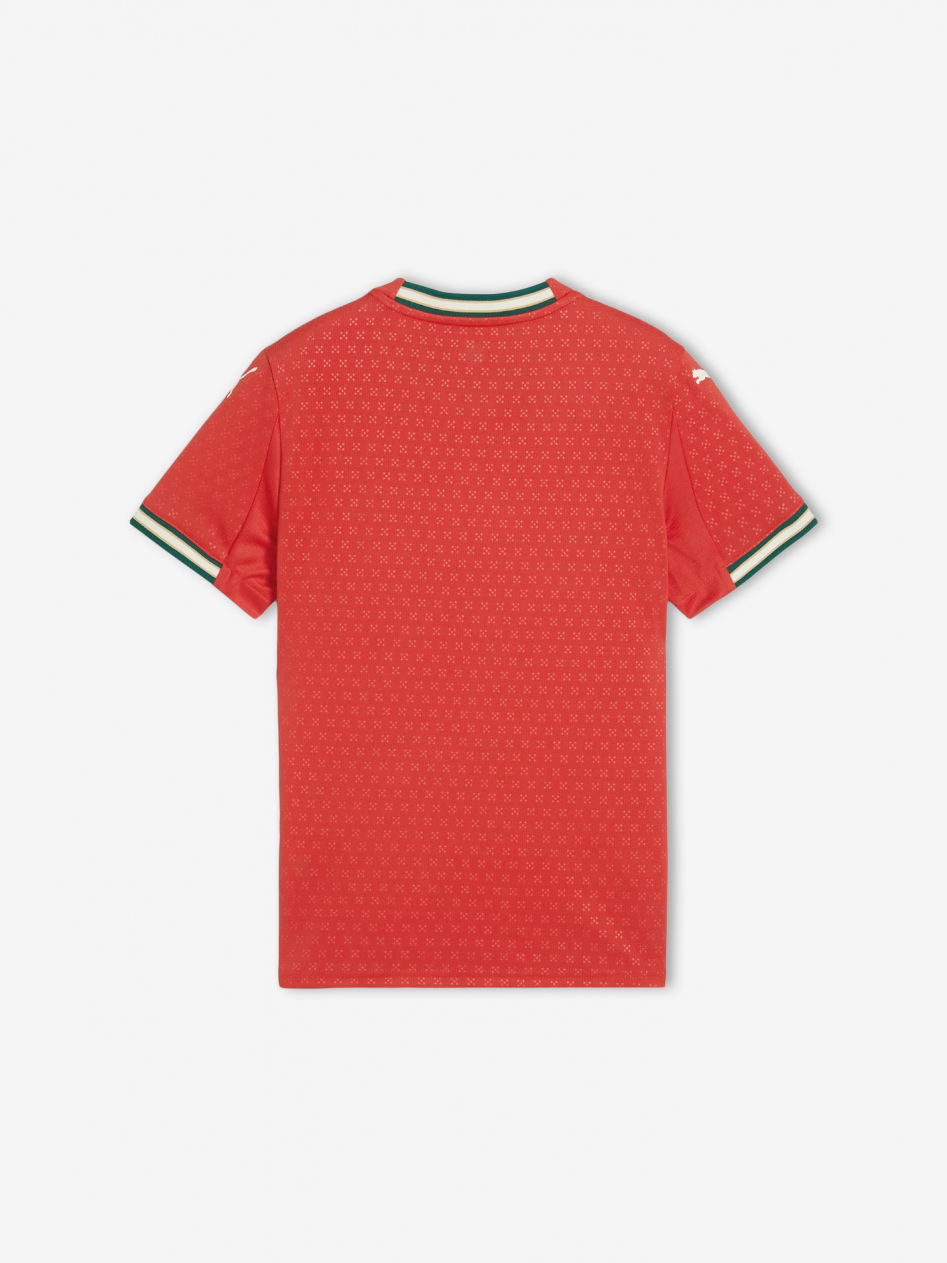 Camisola Puma Portugal Principal Vermelha Jr 2025