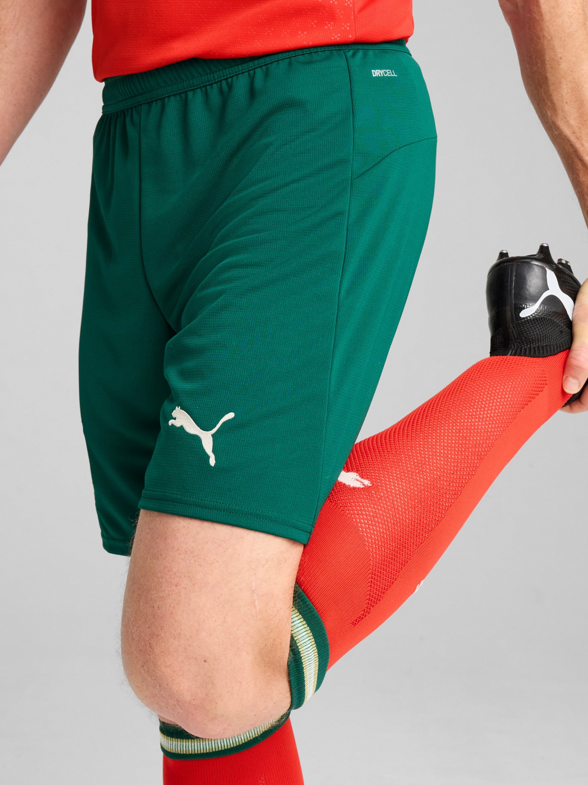 Calções Puma Portugal Equipamento Principal Verdes 2025