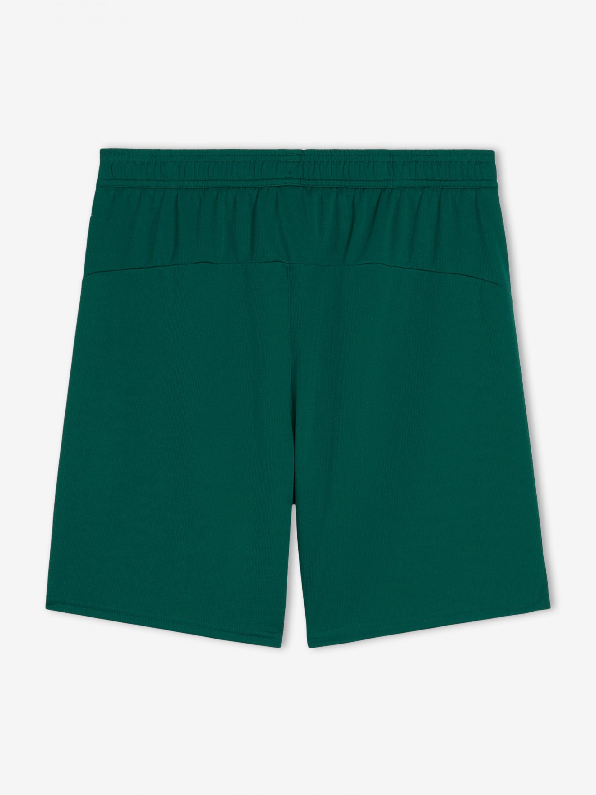 Calções Puma Portugal Equipamento Principal Verdes 2025