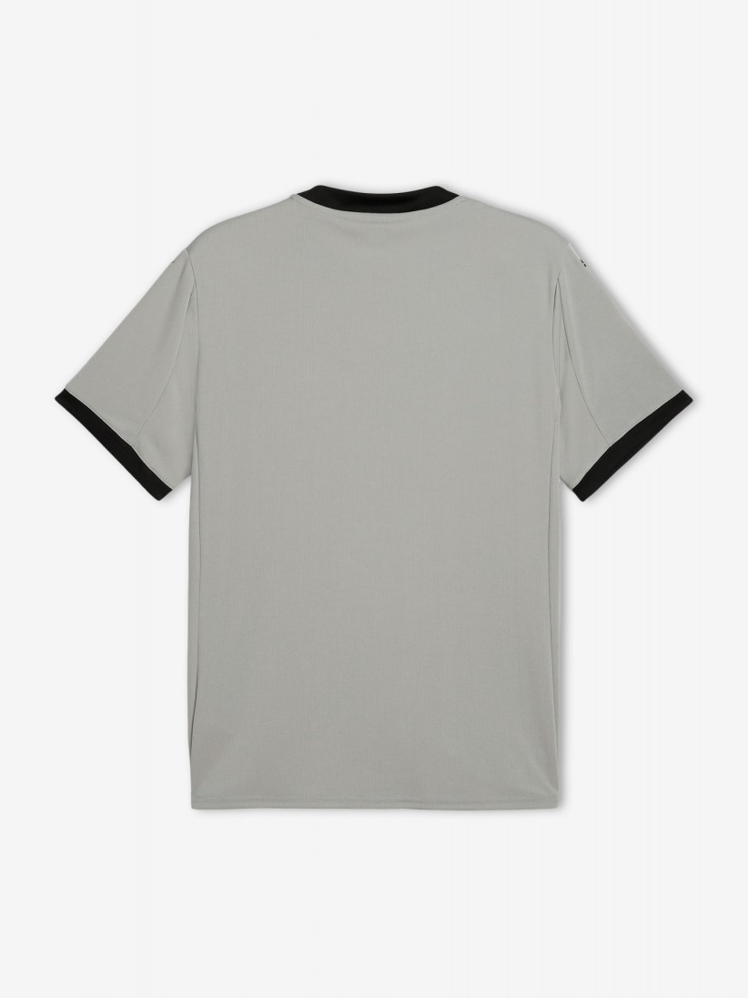 Puma Portugal Grey 2025 Goalkeeper Jersey