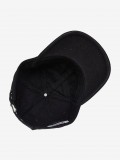 Gorra Carhartt WIP Icon