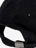 Gorra Carhartt WIP Icon