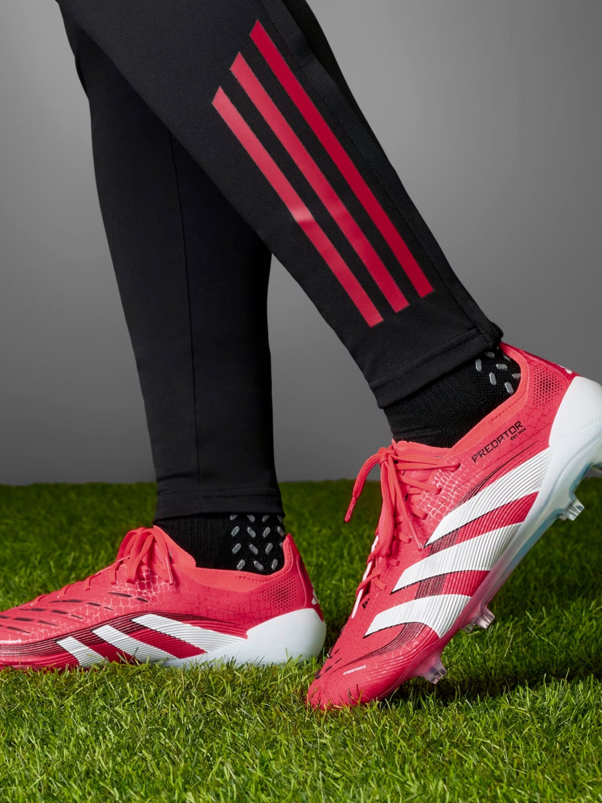 Chuteiras Adidas Predator Elite FG