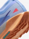 Sapatilhas Nike Pegasus Trail GORE-TEX Azuis Para Homem