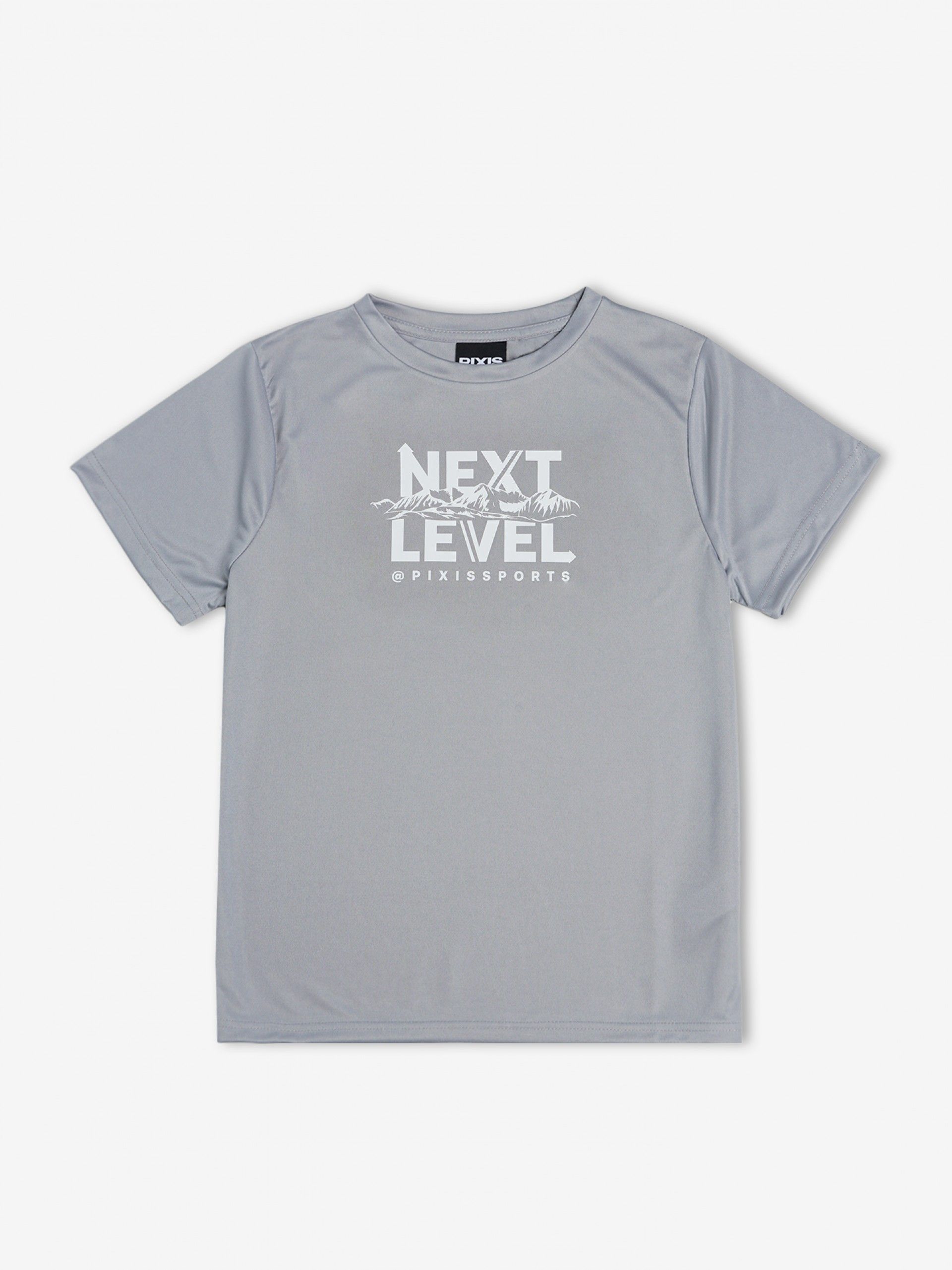 Camiseta Pixis Next Level