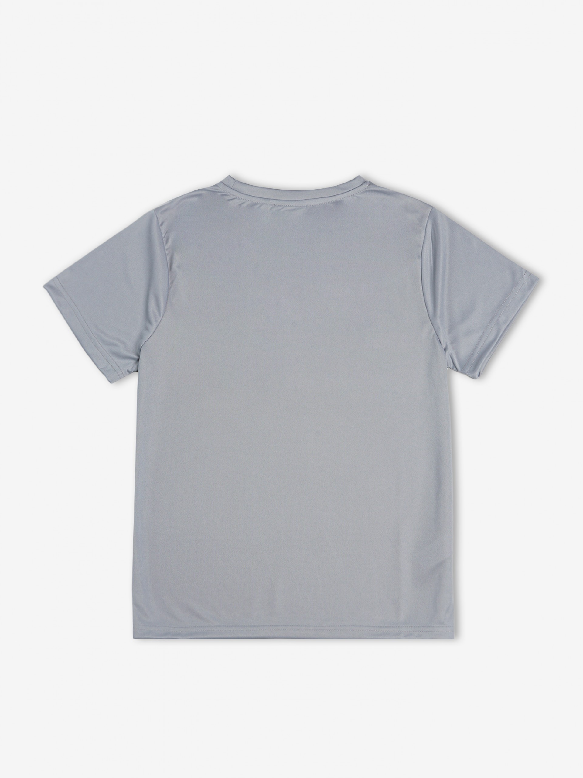 Camiseta Pixis Next Level