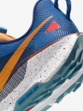 Nike Pegasus Trail 5 Blue Trainers For Men