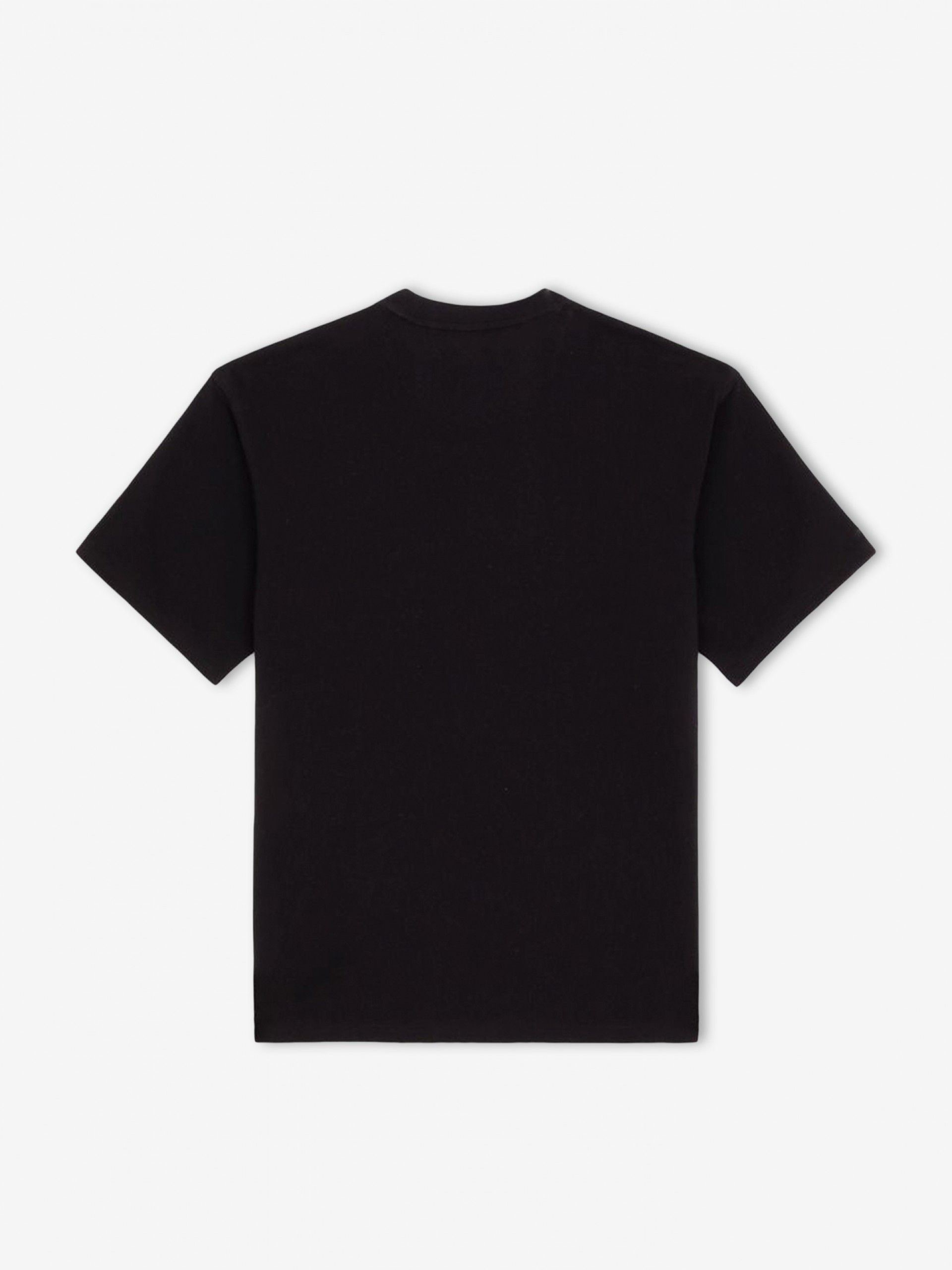 Dickies Clancy Heavyweight Black T-shirt