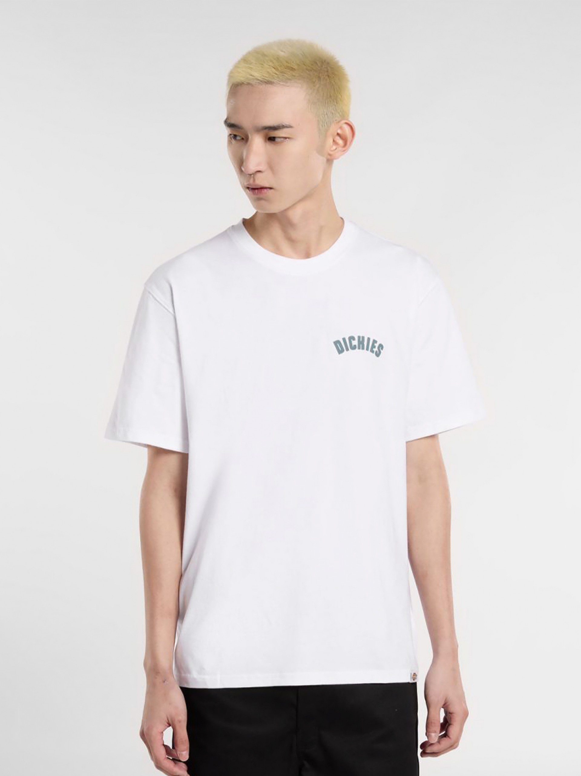 Dickies Circle Logo White T-shirt