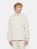 Dickies Oakport Coach Beige Jacket