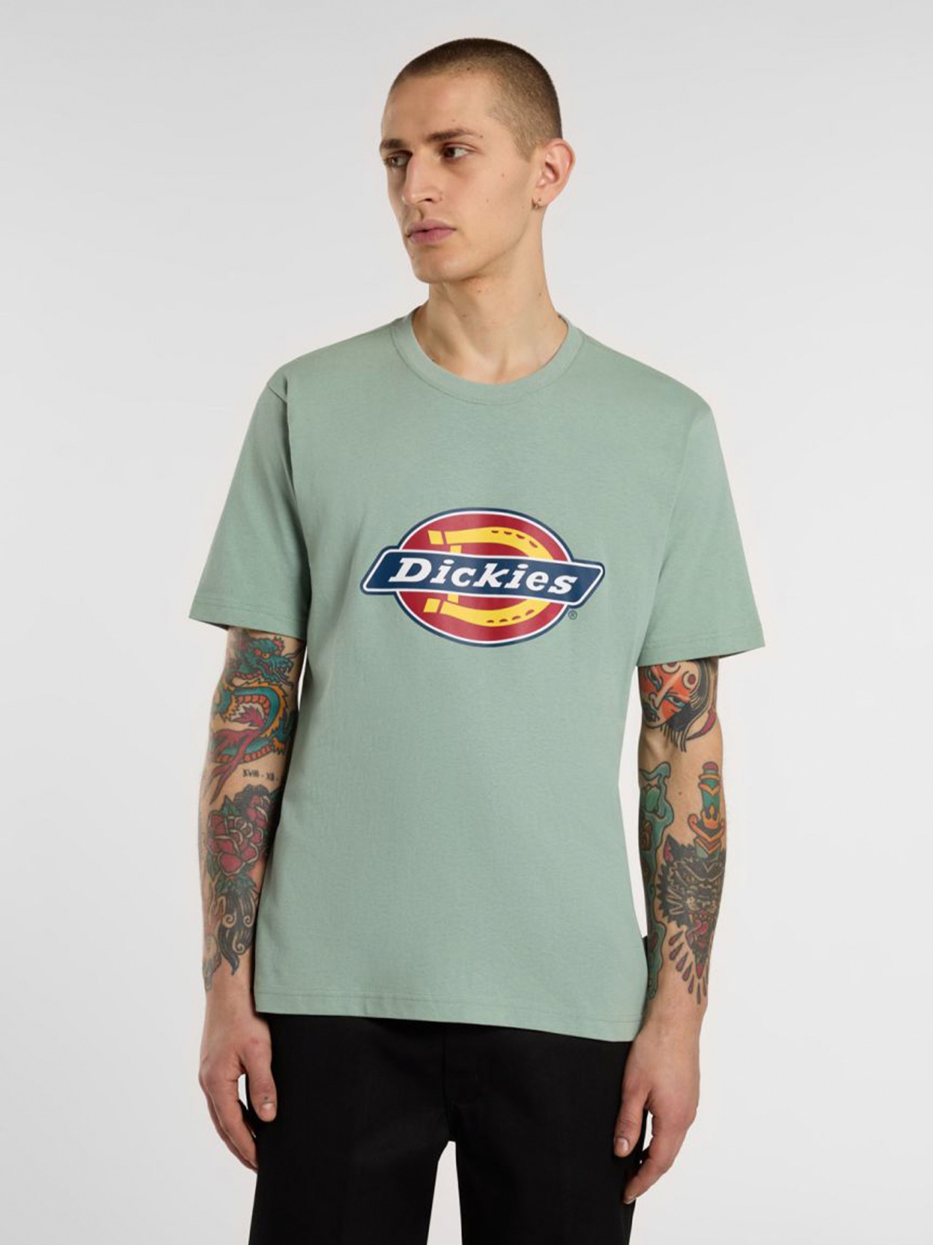 Dickies Icon Logo Green T-shirt
