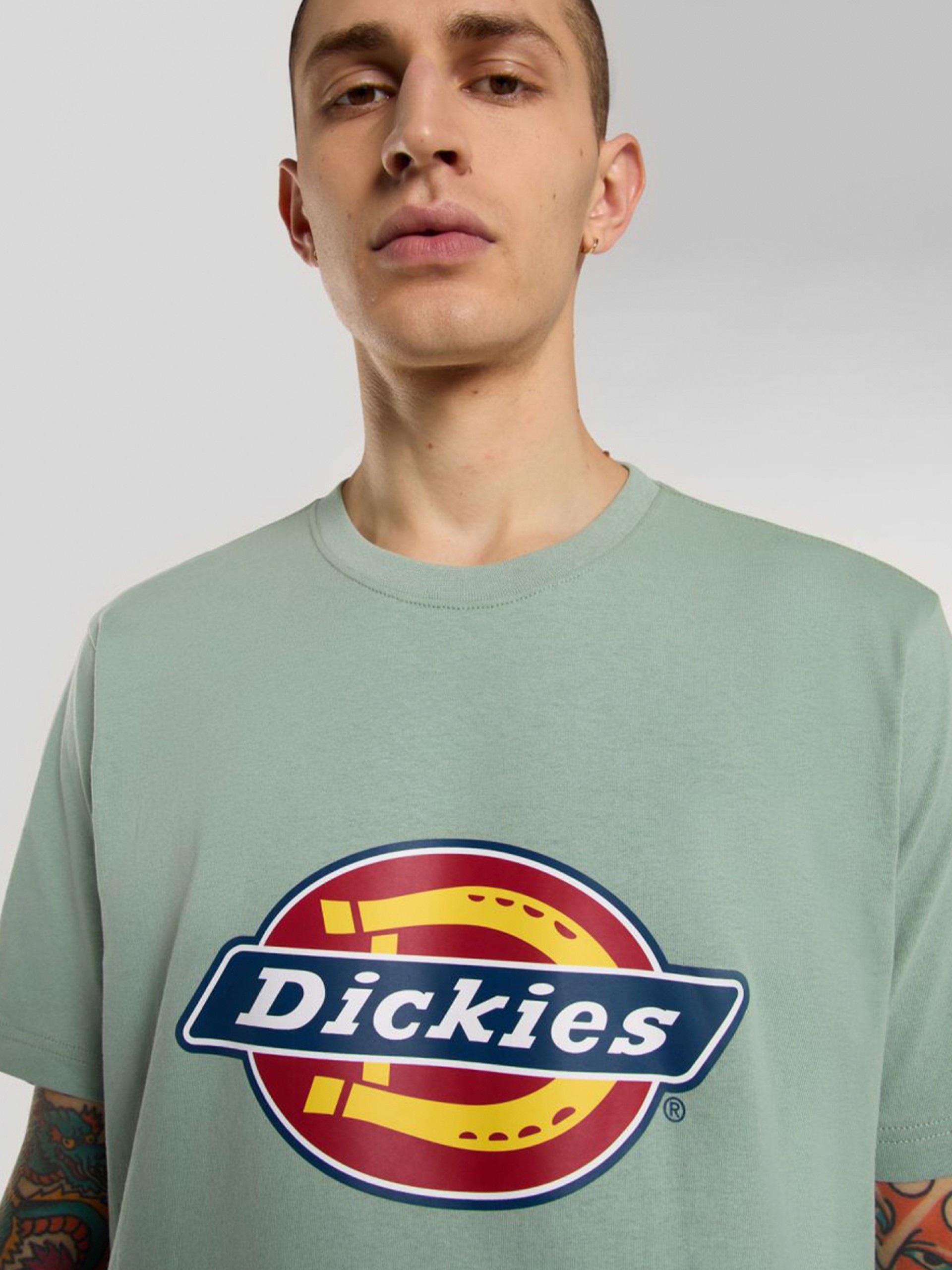 Dickies Icon Logo Green T-shirt