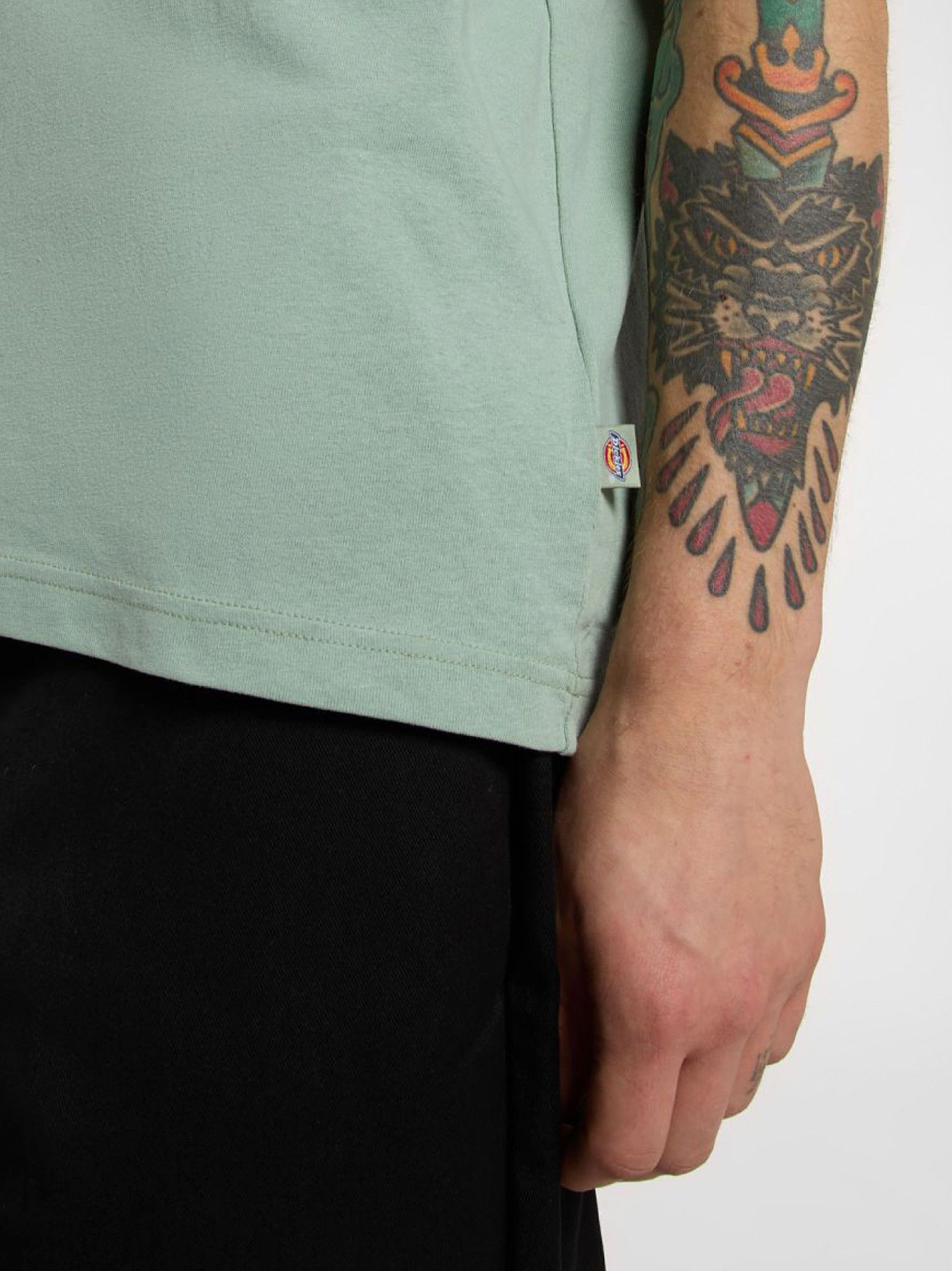 Dickies Icon Logo Green T-shirt