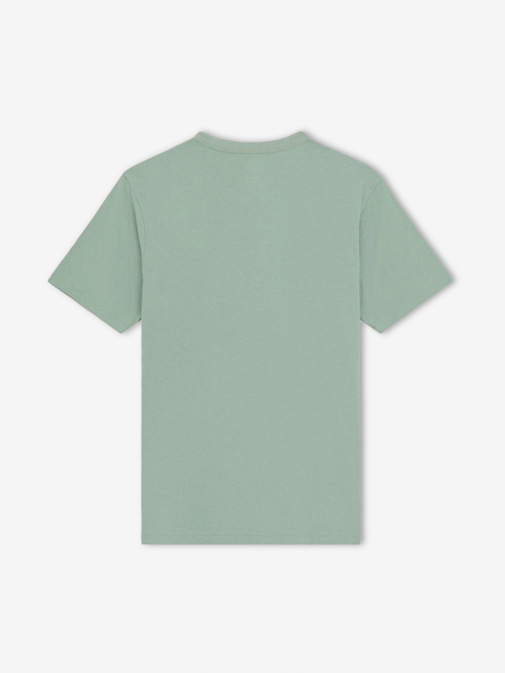 Dickies Icon Logo Green T-shirt