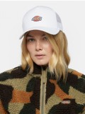 Dickies Hanston Trucker White Cap