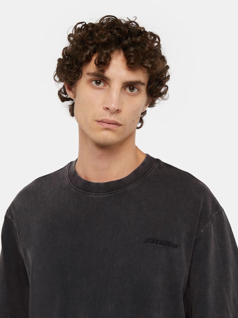 Camiseta Dickies Pentywood Negra