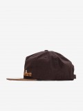 Gorra Carhartt WIP Label Script Marrn
