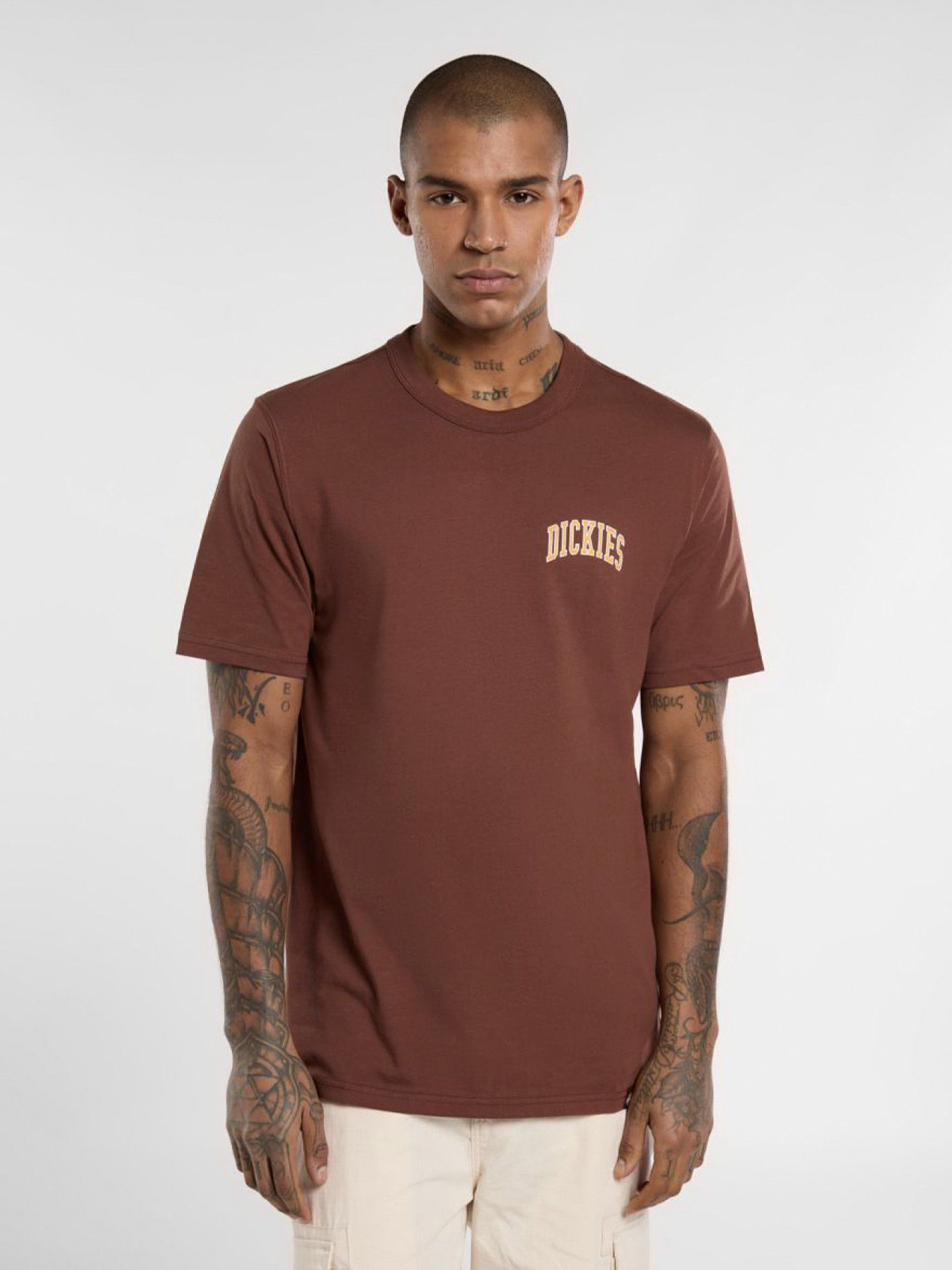 T-shirt Dickies Aitkin Chest Castanha