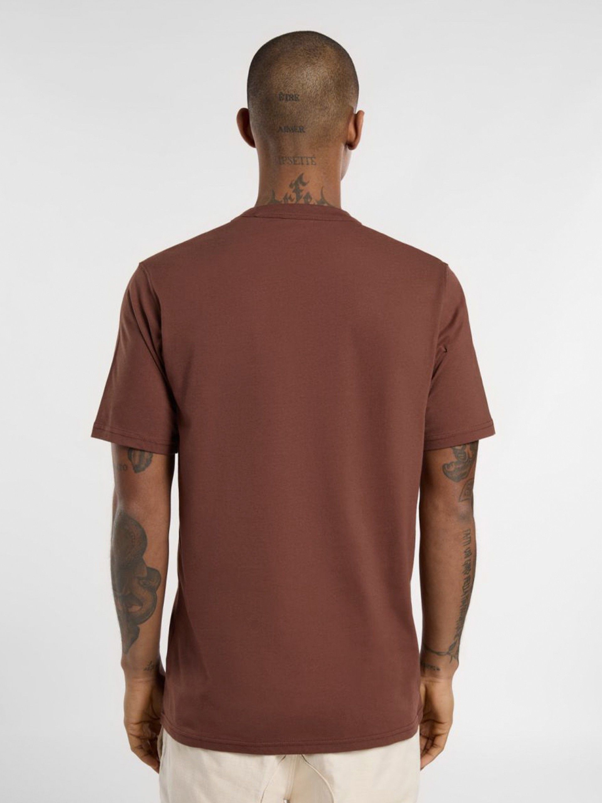 T-shirt Dickies Aitkin Chest Castanha