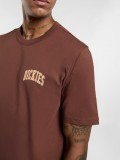 T-shirt Dickies Aitkin Chest Castanha
