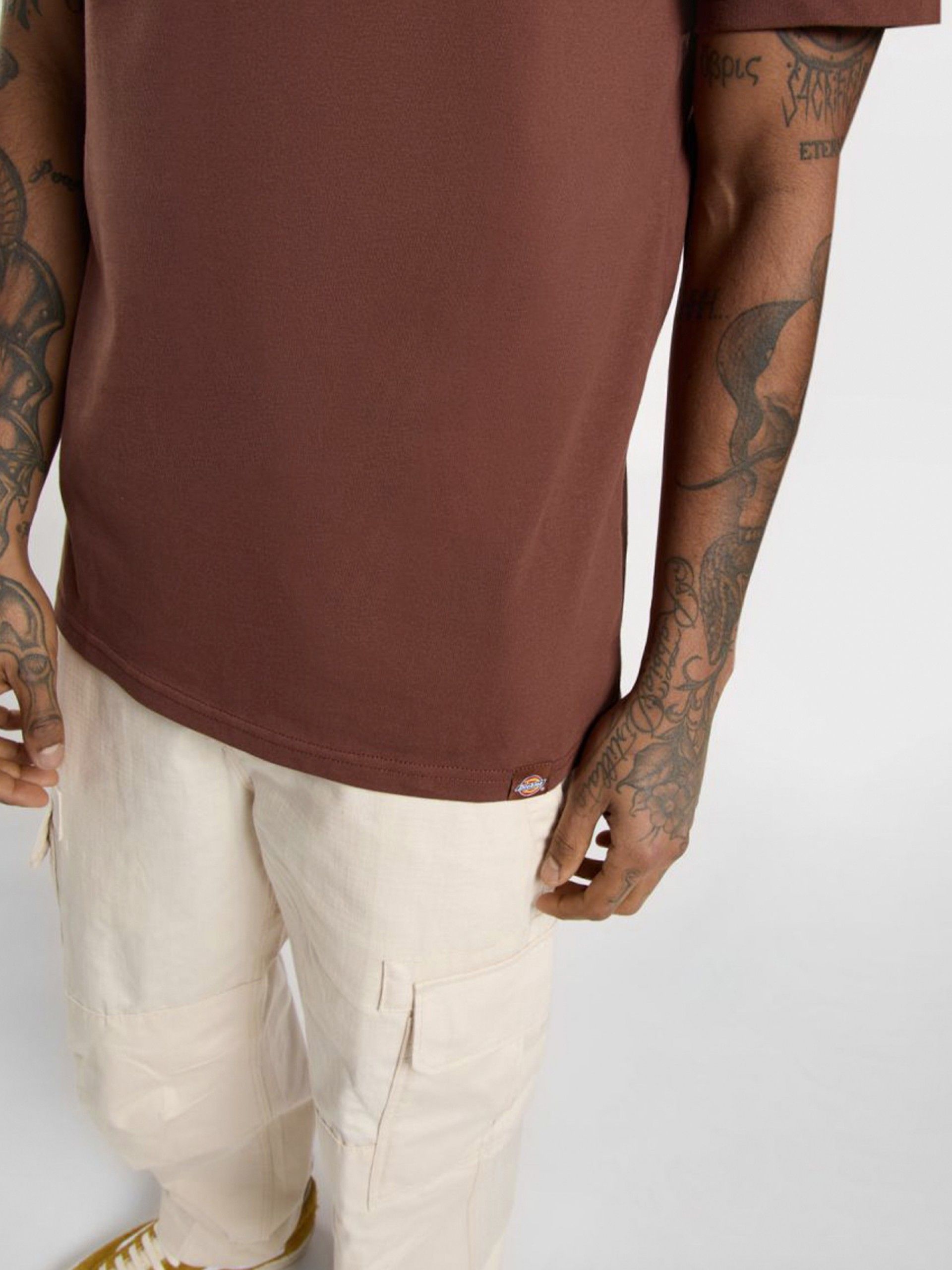 T-shirt Dickies Aitkin Chest Castanha