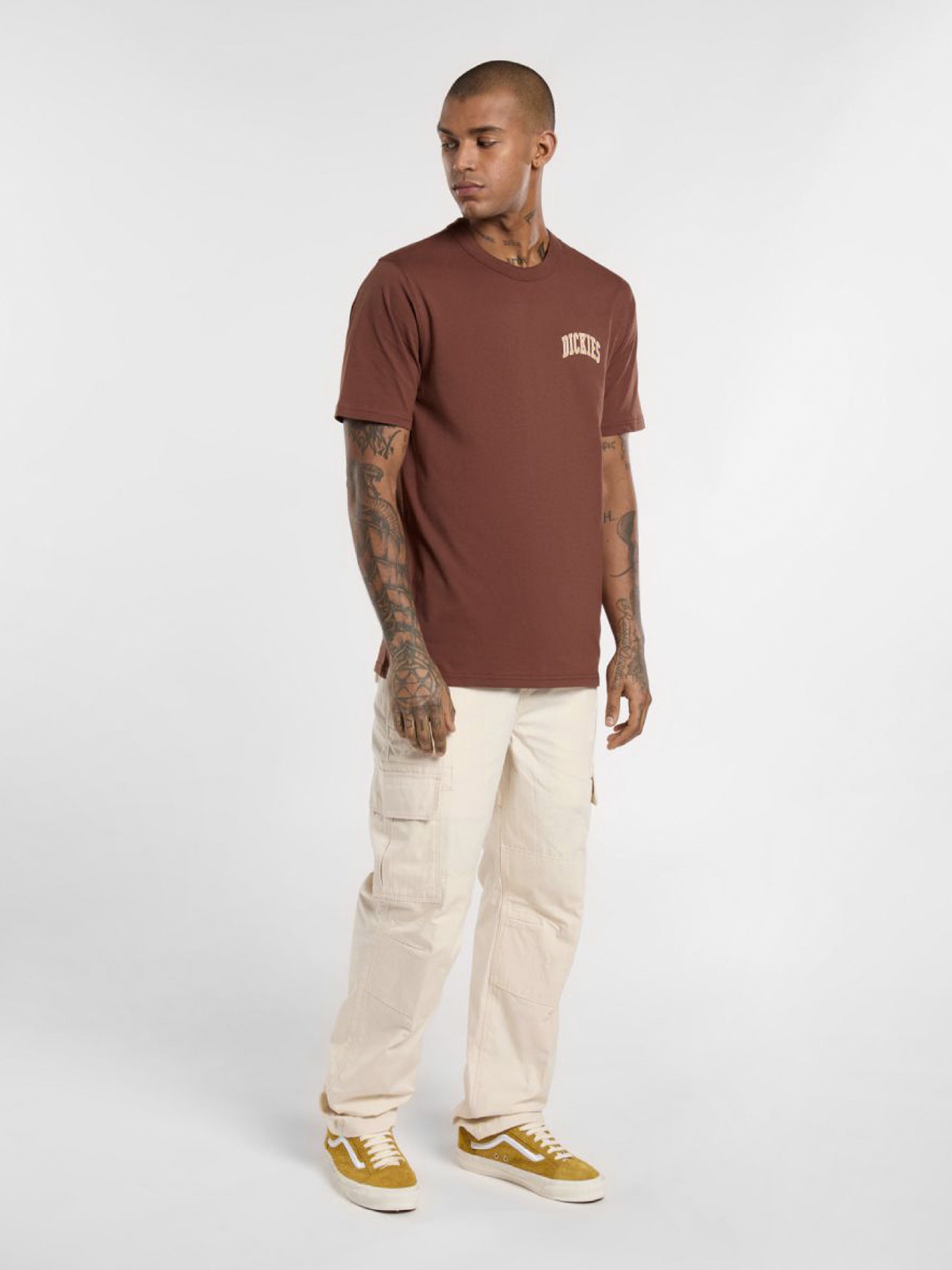 T-shirt Dickies Aitkin Chest Castanha