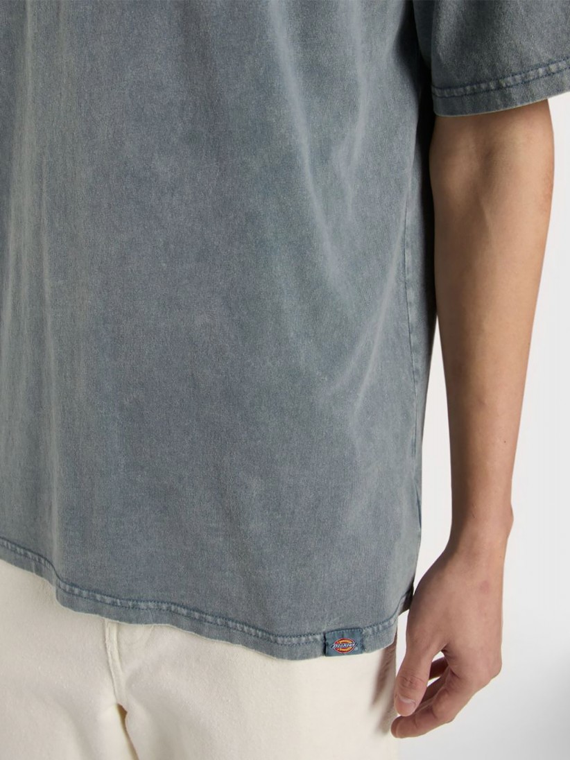 Camiseta Dickies Pentywood Azul