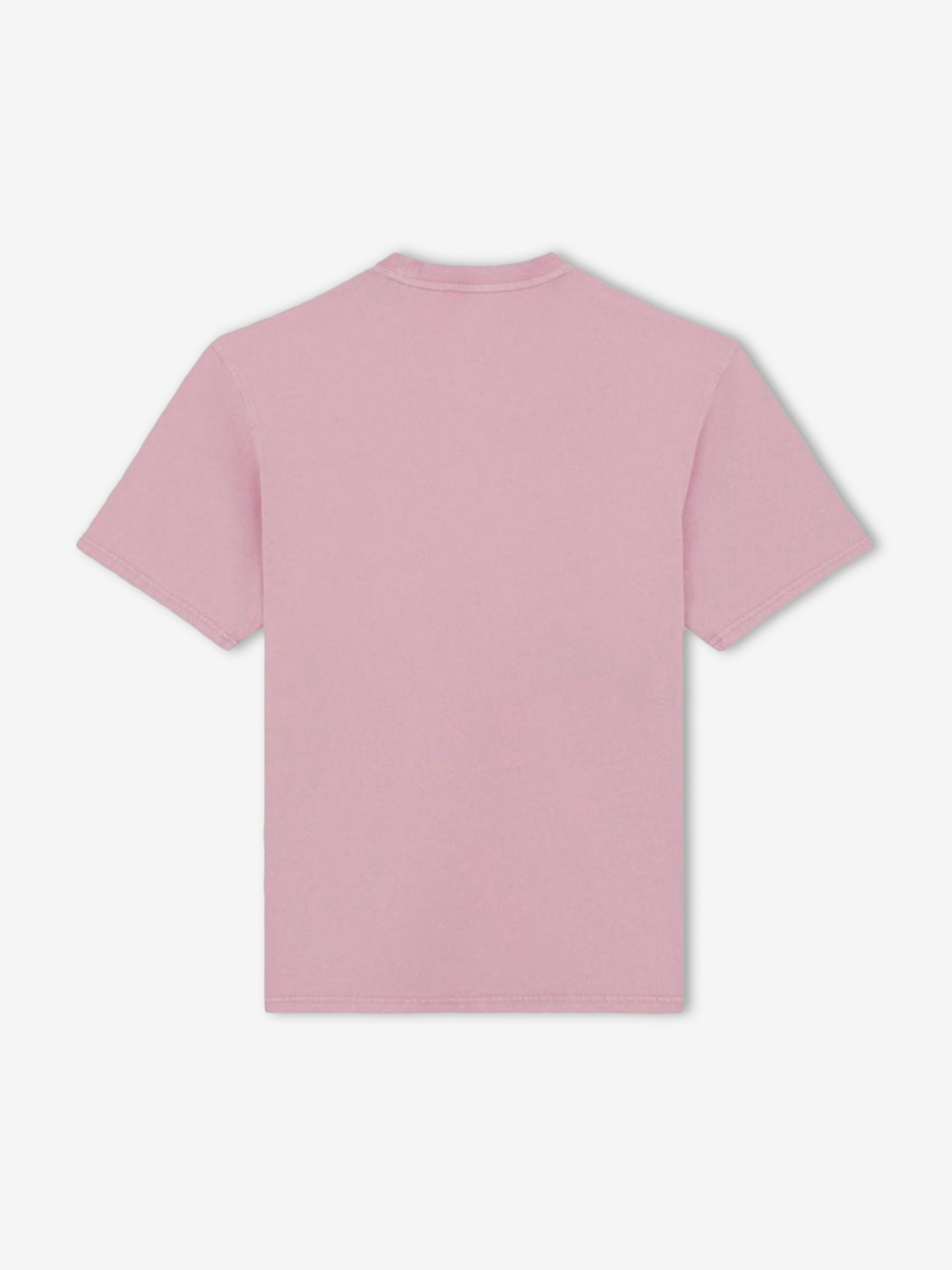 Camiseta Dickies Pentywood Rosa