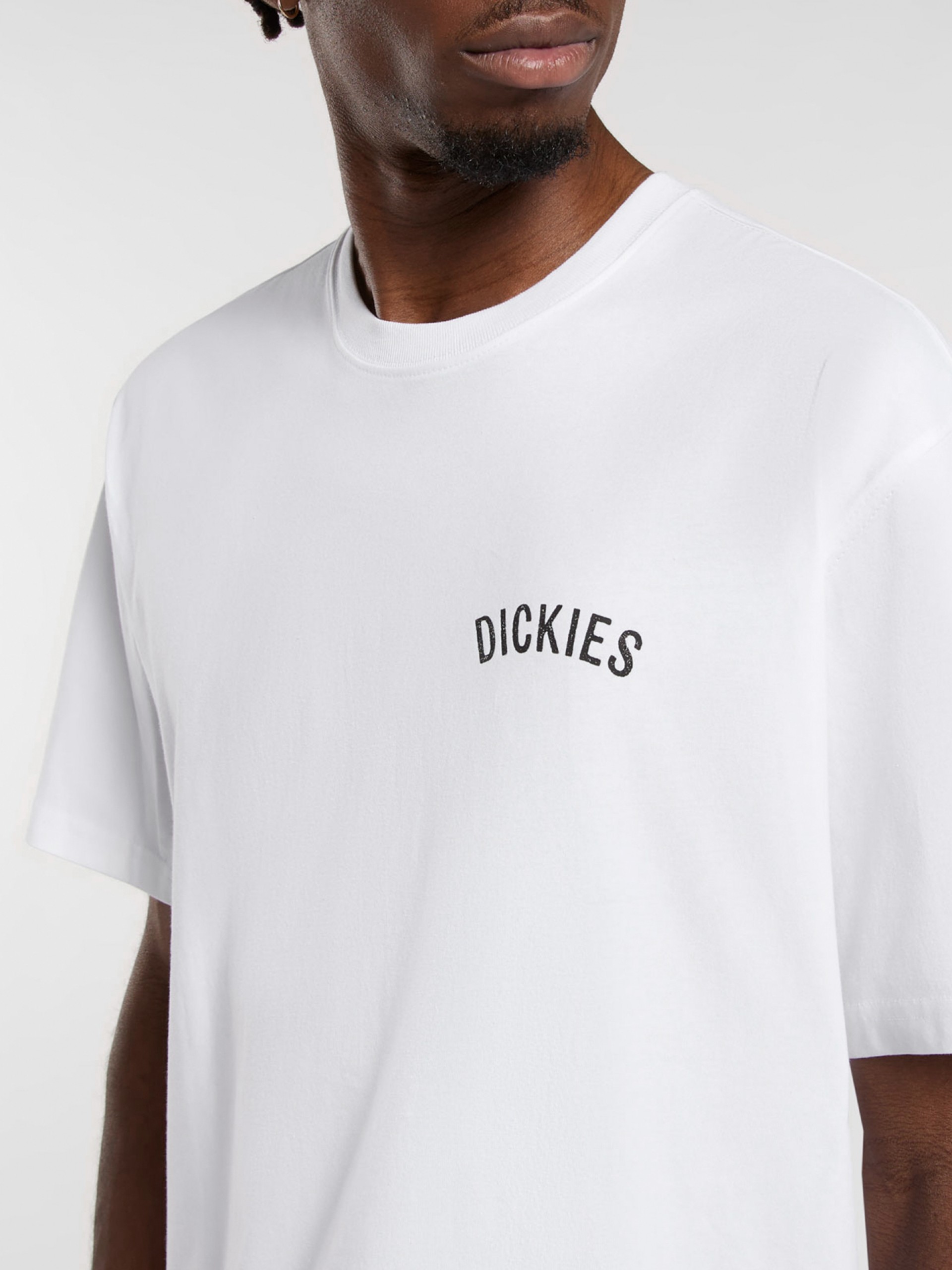 Camiseta Dickies Snake Blanca