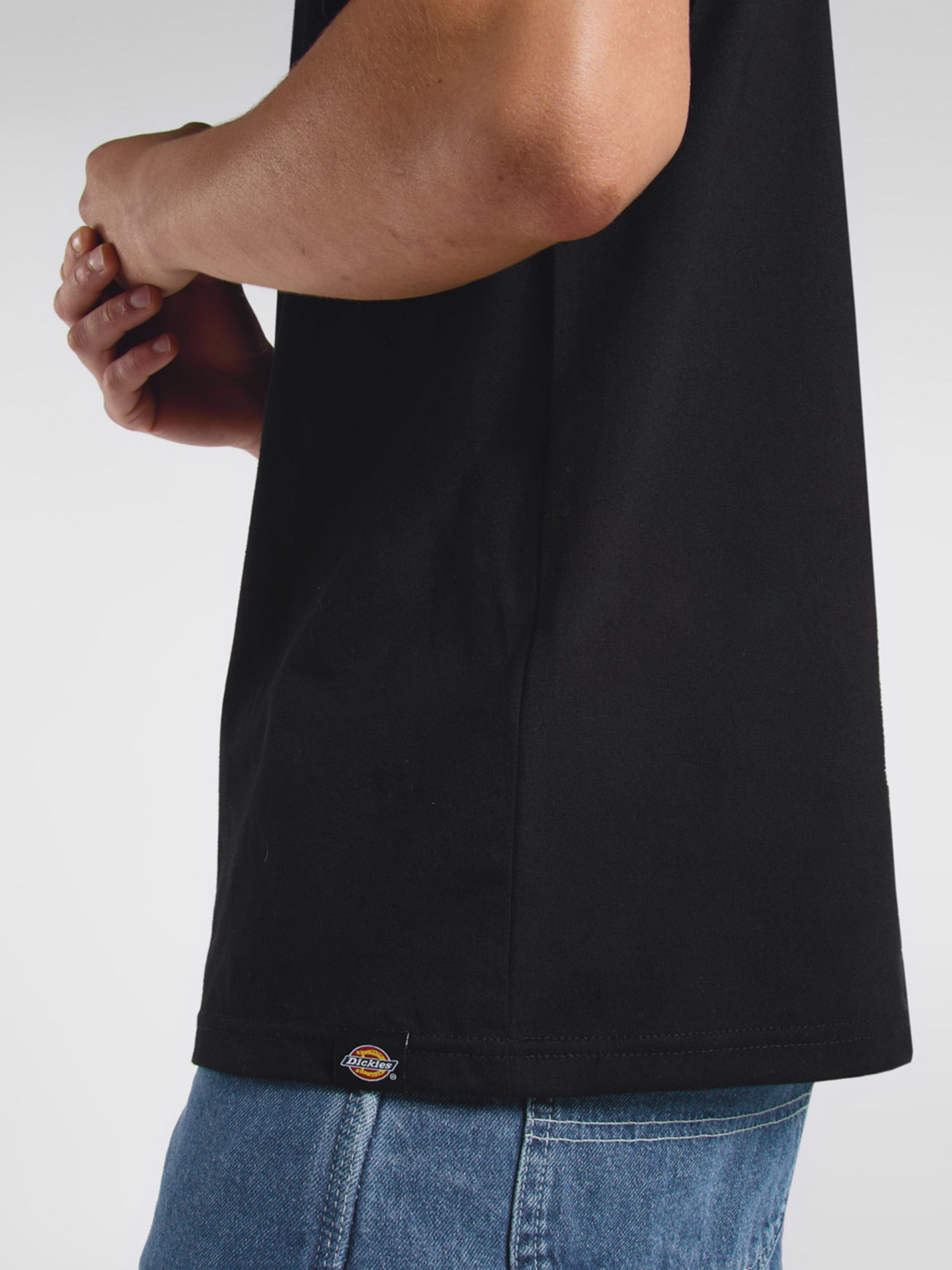 Camiseta Dickies Snake Negra