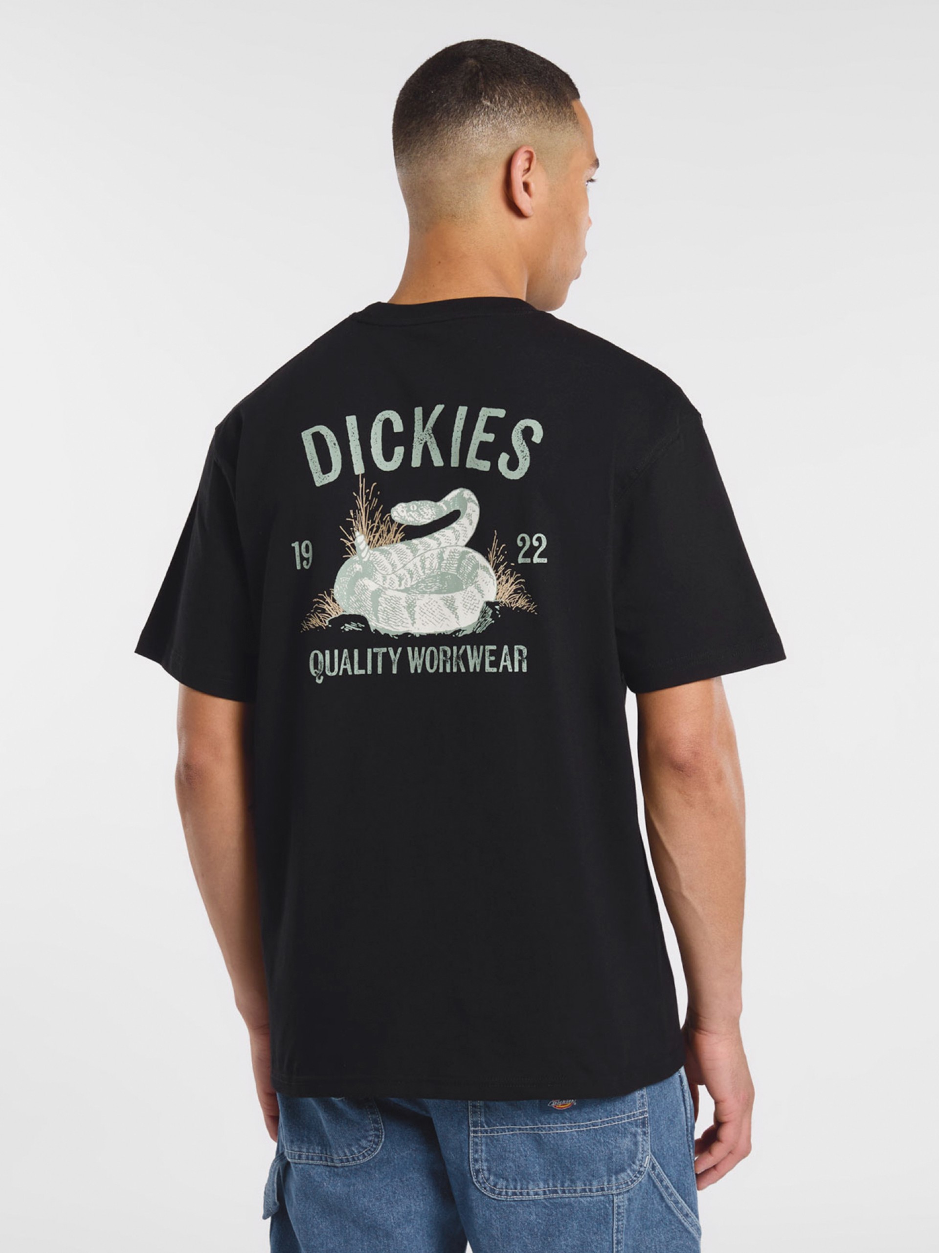 Camiseta Dickies Snake Negra