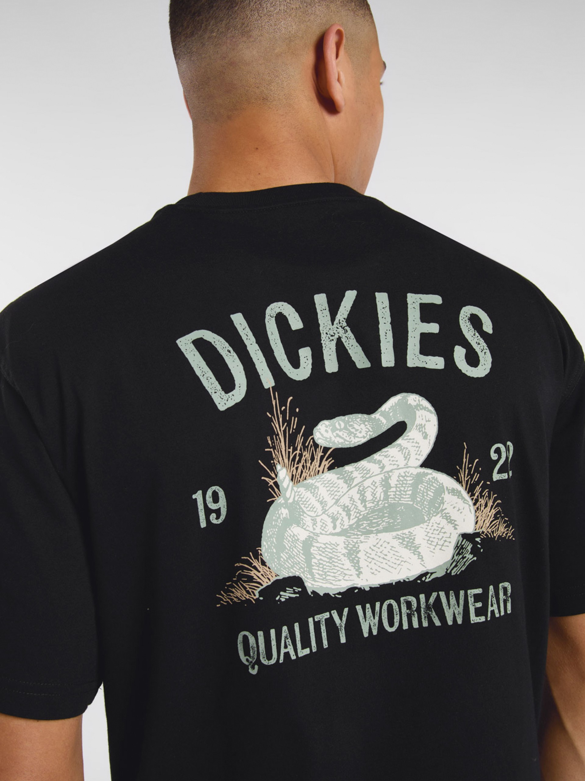 Camiseta Dickies Snake Negra
