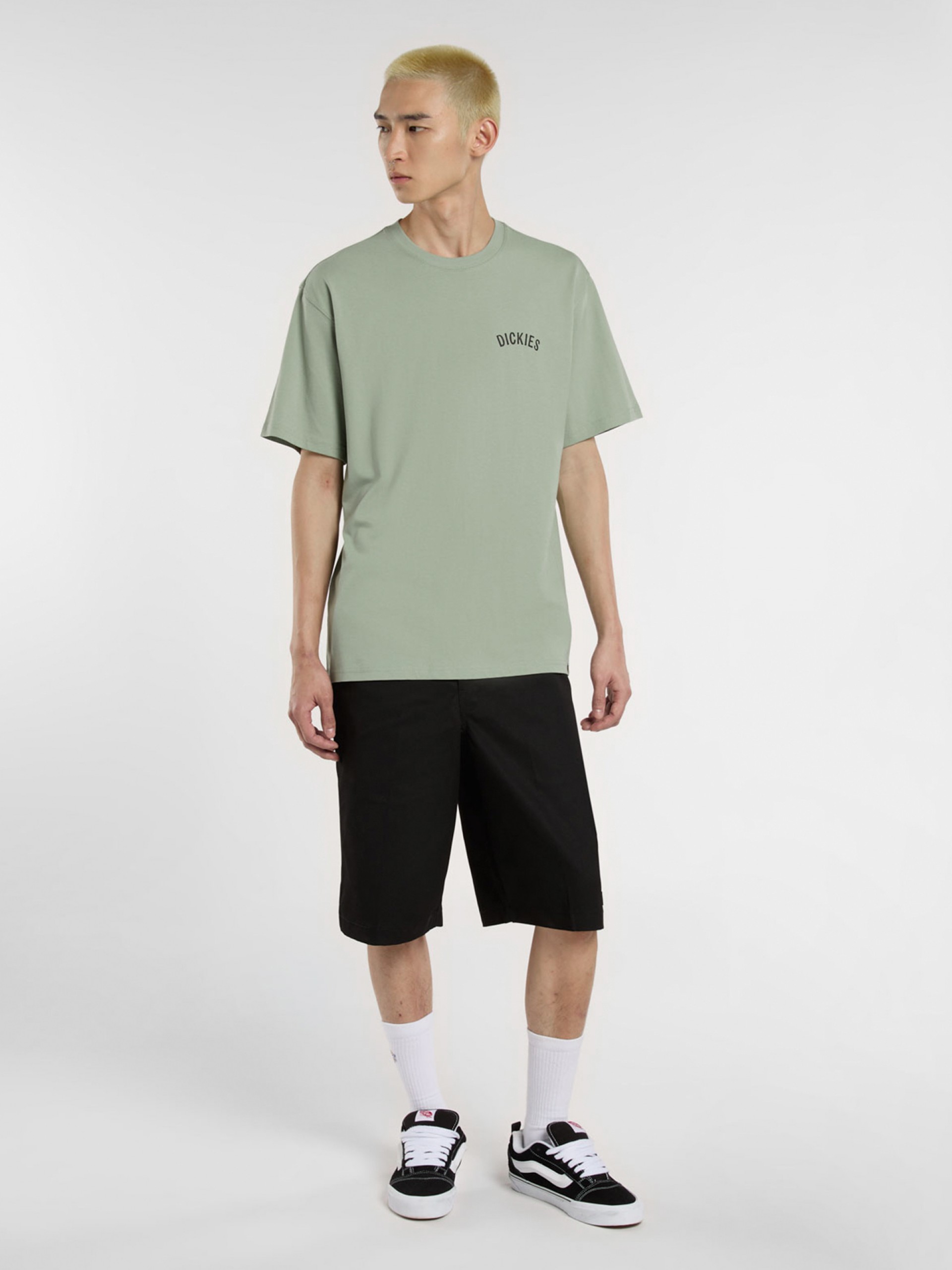 Camiseta Dickies Snake Verde
