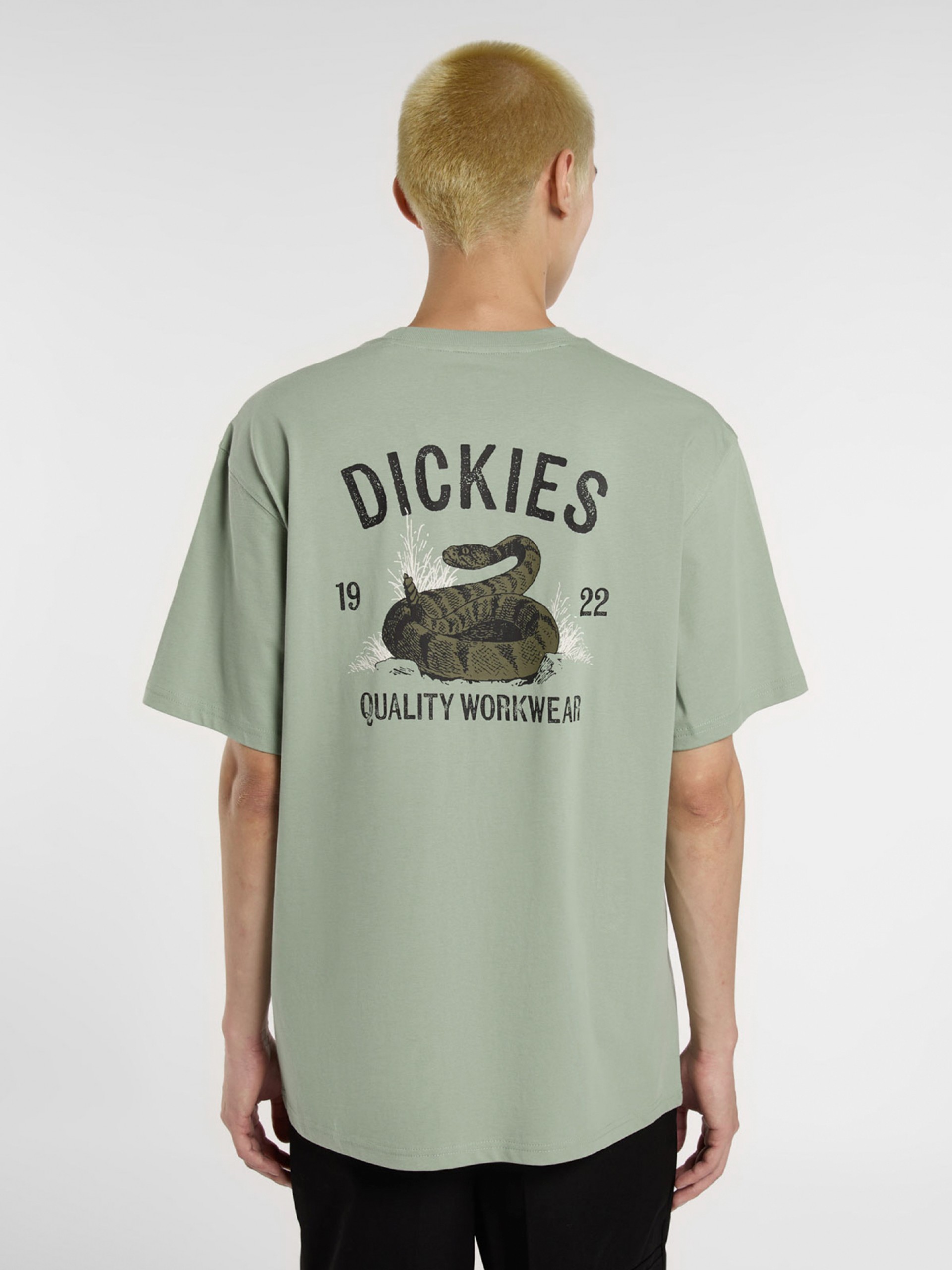 Dickies Snake Green T-shirt