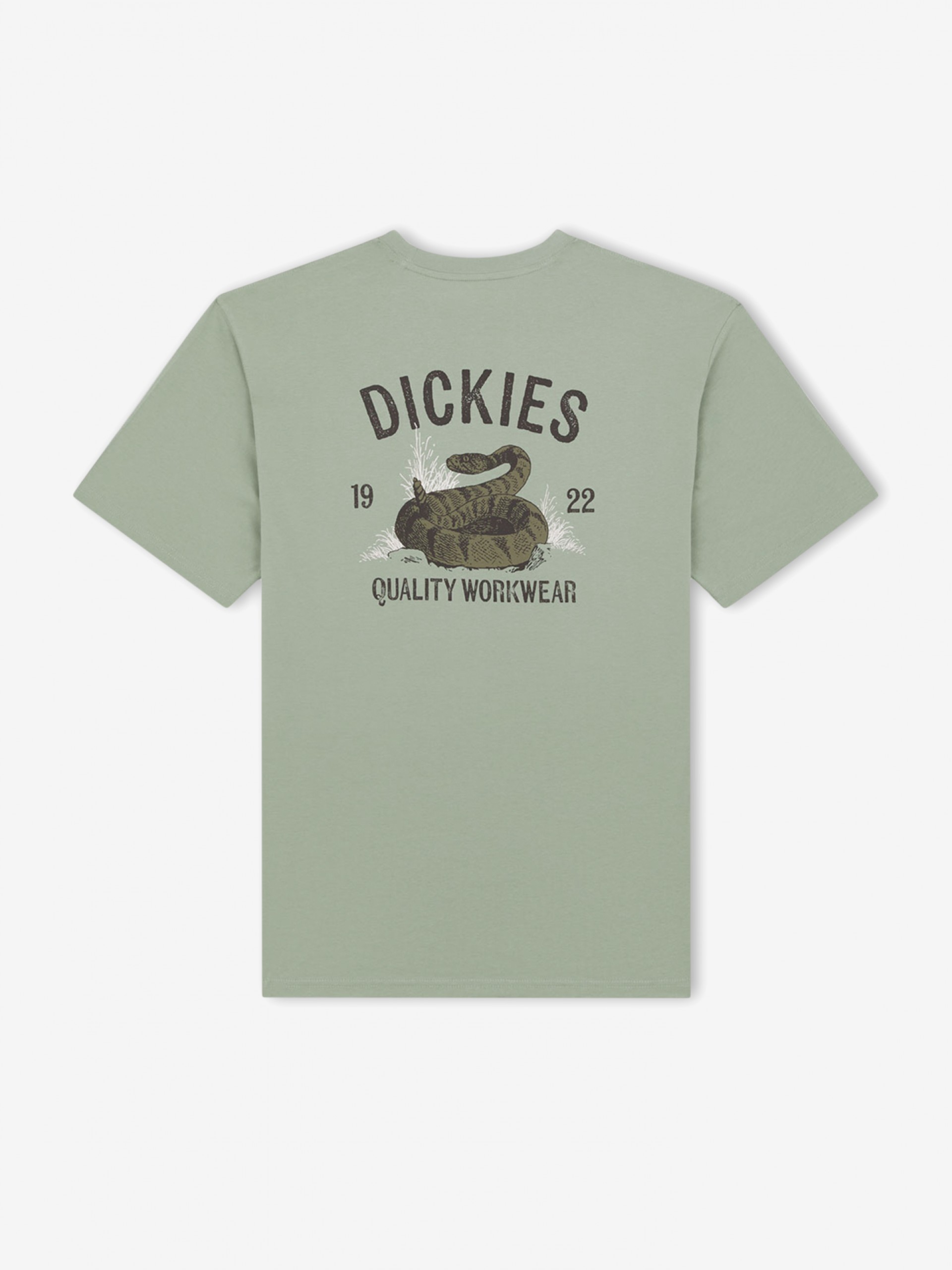Camiseta Dickies Snake Verde
