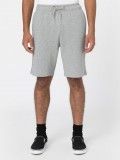 Dickies Mapleton Grey Shorts