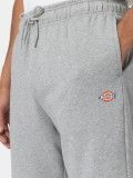 Dickies Mapleton Grey Shorts