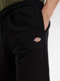 Dickies Mapleton Black Shorts