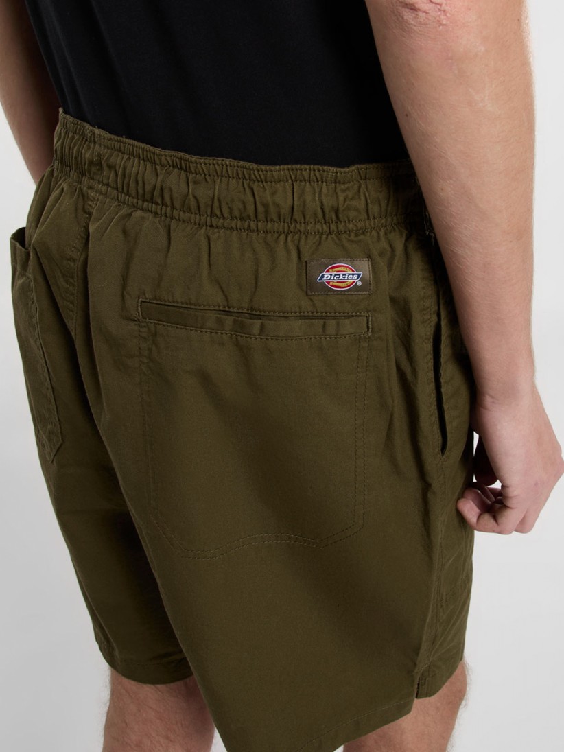 Dickies Pelican Rapids Green Shorts