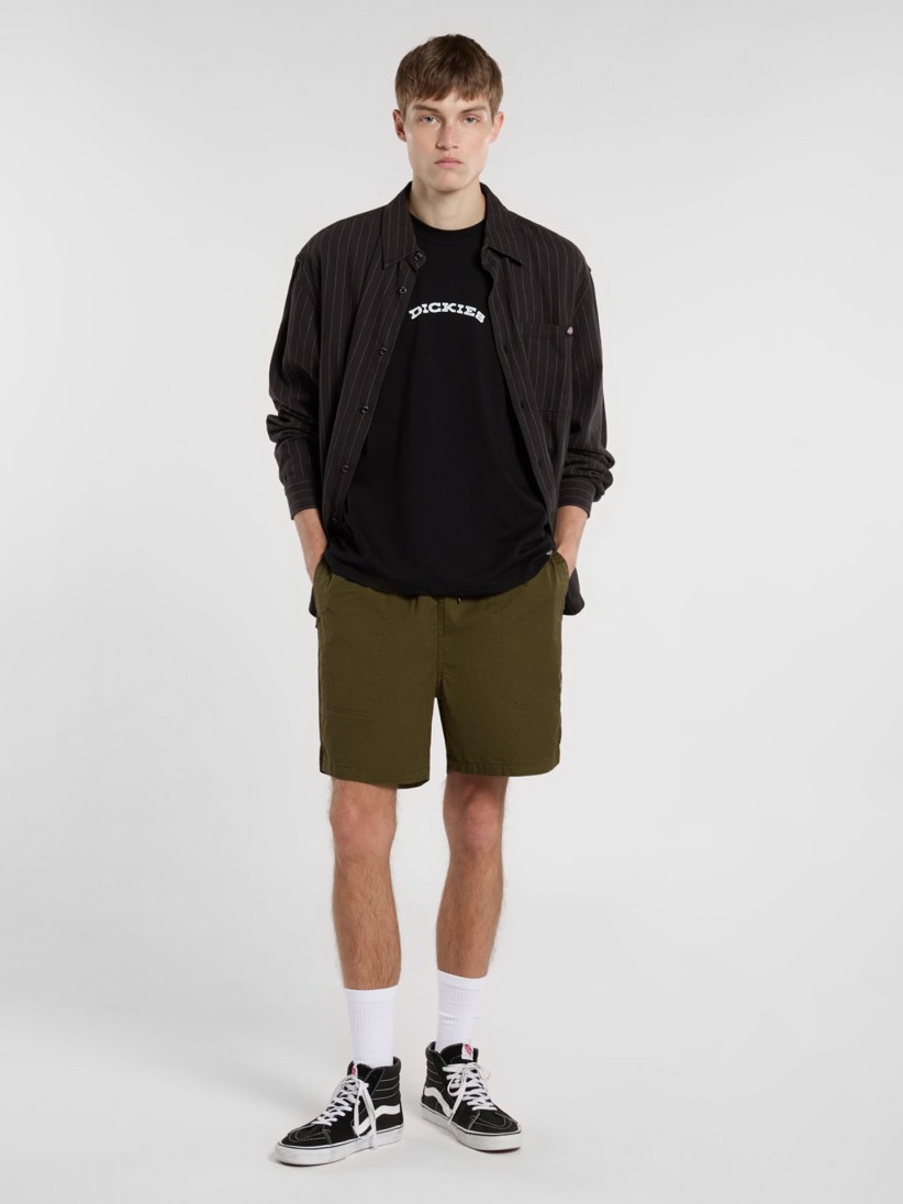 Dickies Pelican Rapids Green Shorts