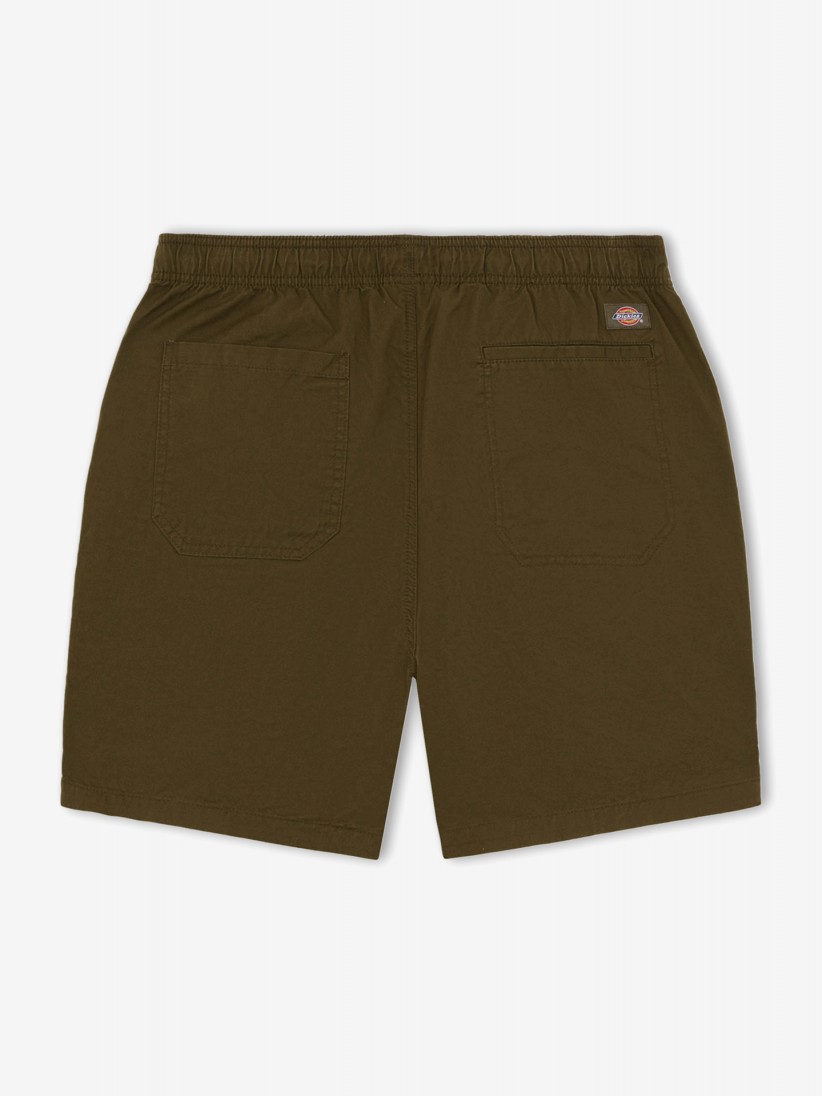 Dickies Pelican Rapids Green Shorts