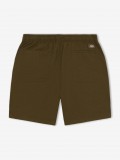 Dickies Pelican Rapids Green Shorts