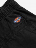 Dickies Pelican Rapids Black Shorts