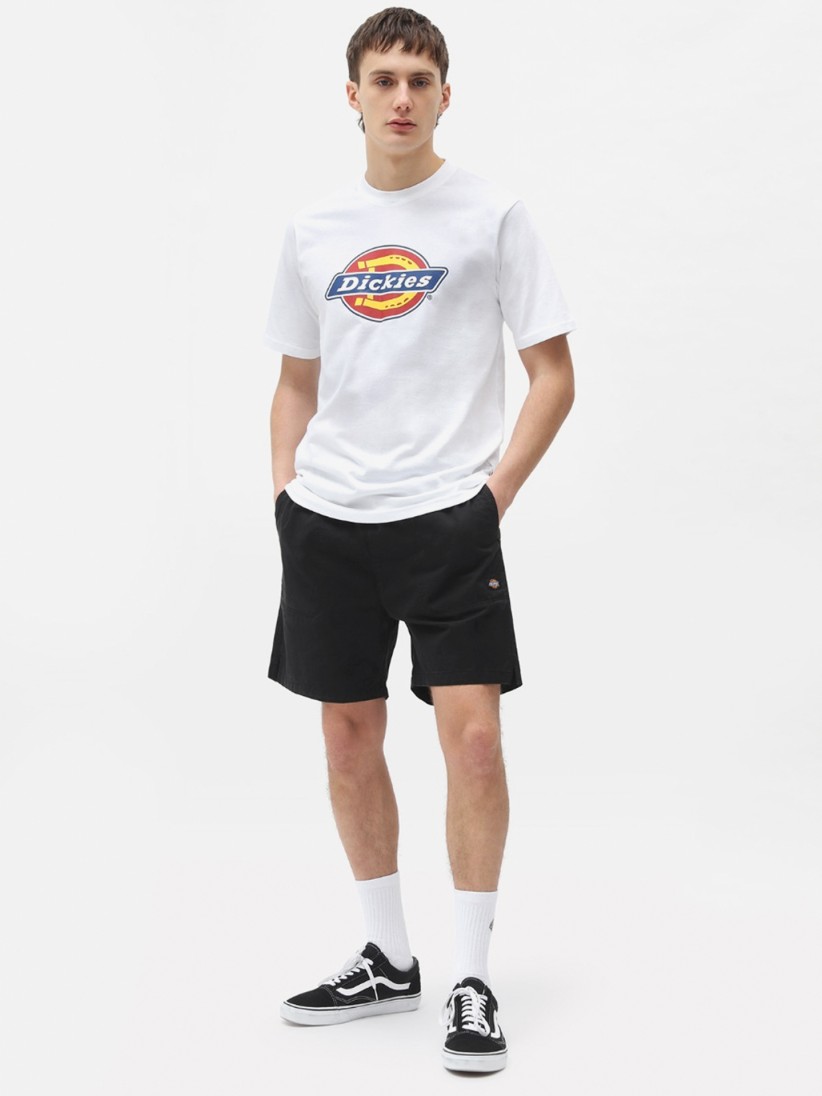 Dickies Pelican Rapids Black Shorts