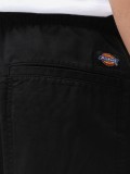 Dickies Pelican Rapids Black Shorts
