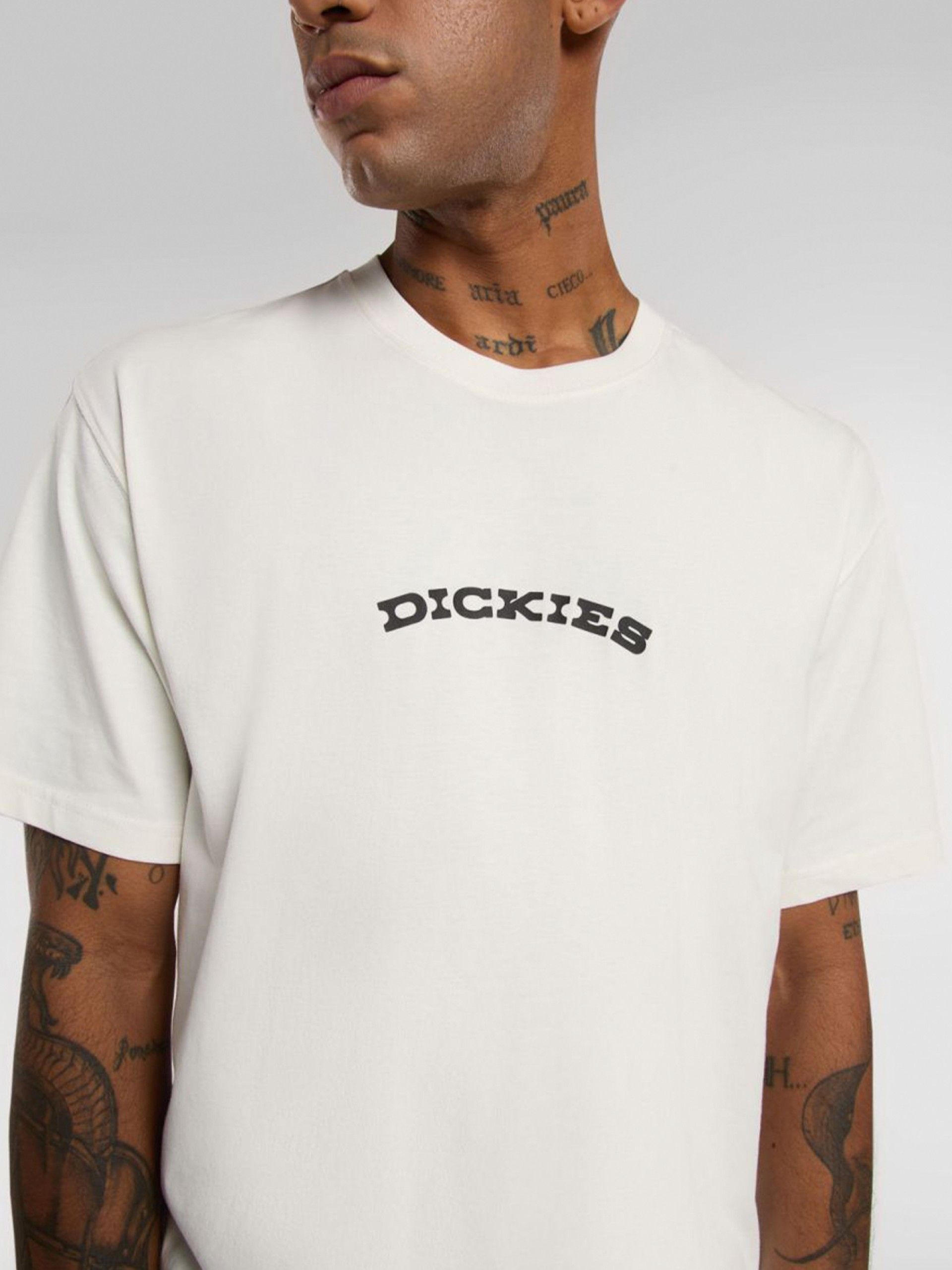 Dickies Outdoor Beige T-shirt
