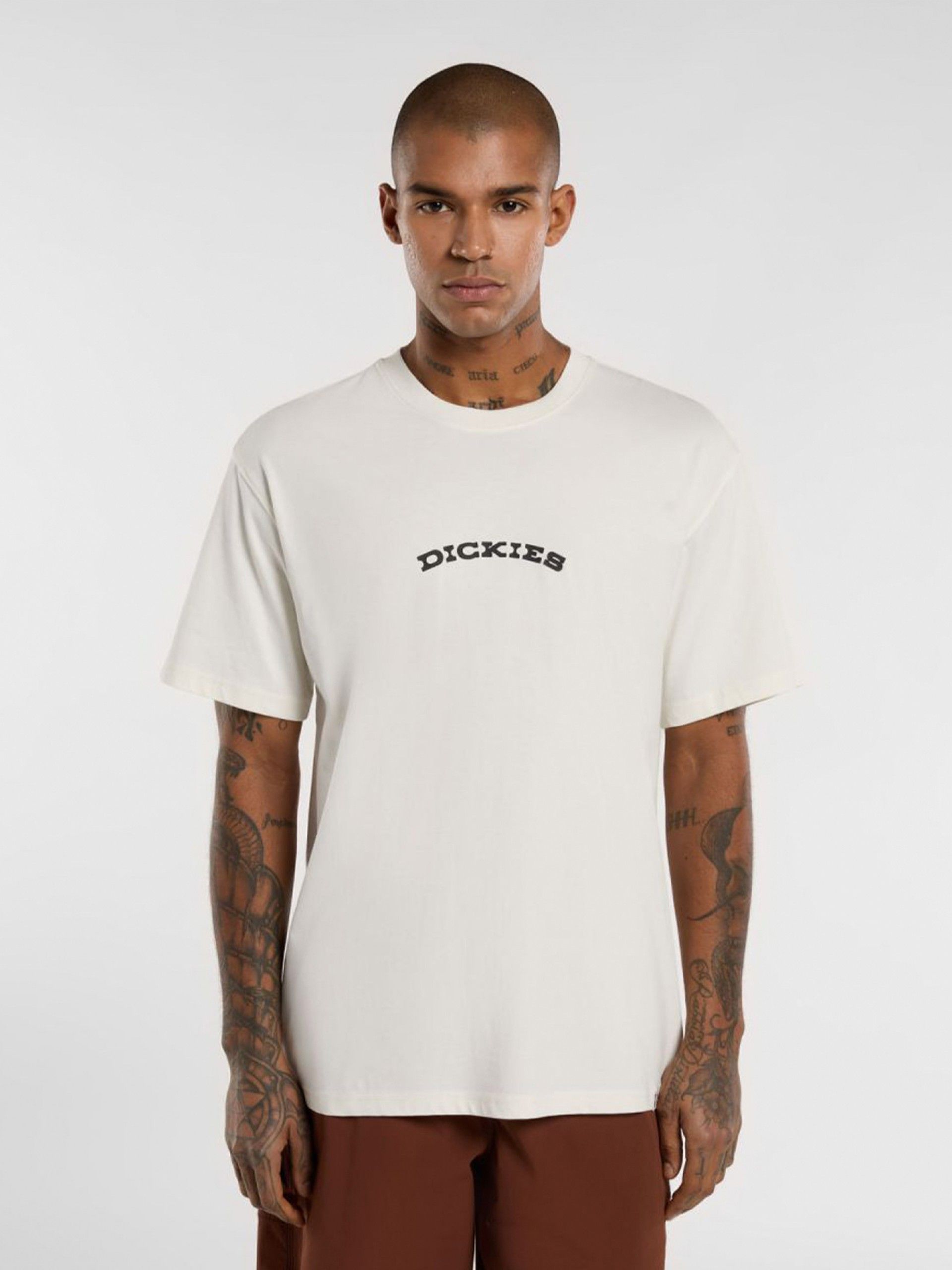 Dickies Outdoor Beige T-shirt