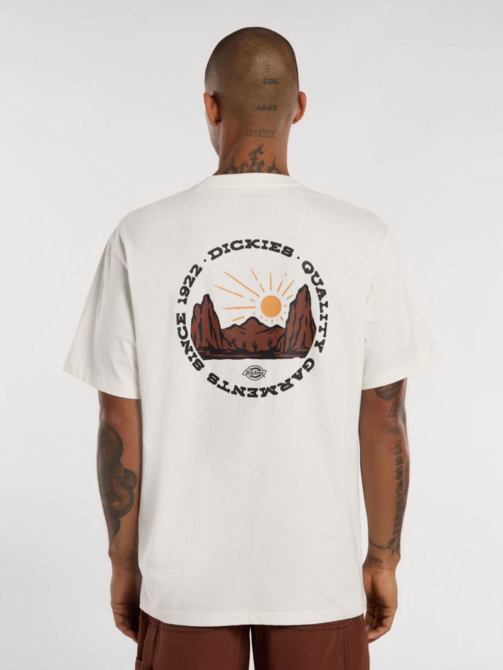 Dickies Outdoor Beige T-shirt